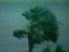 Ouragan 01